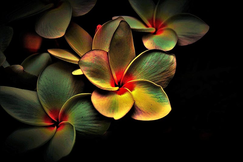 Abstract Technology Image